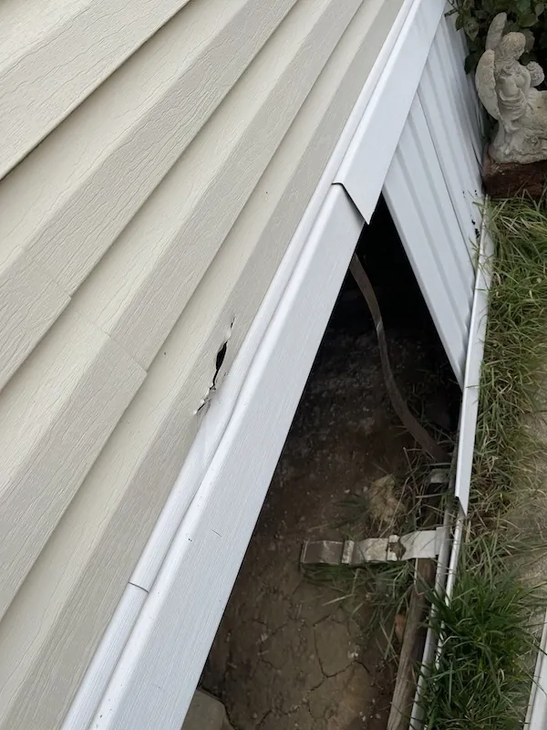 Vermontville MI Siding Installation